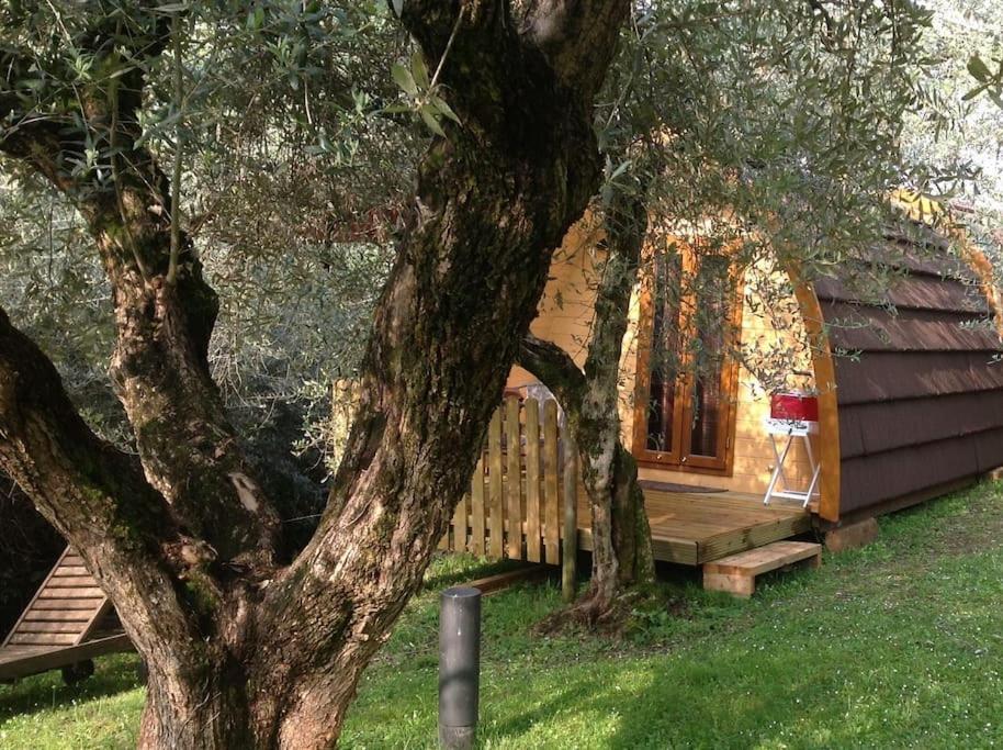 Igloo Garden Lake Soiano Del Lago Zewnętrze zdjęcie